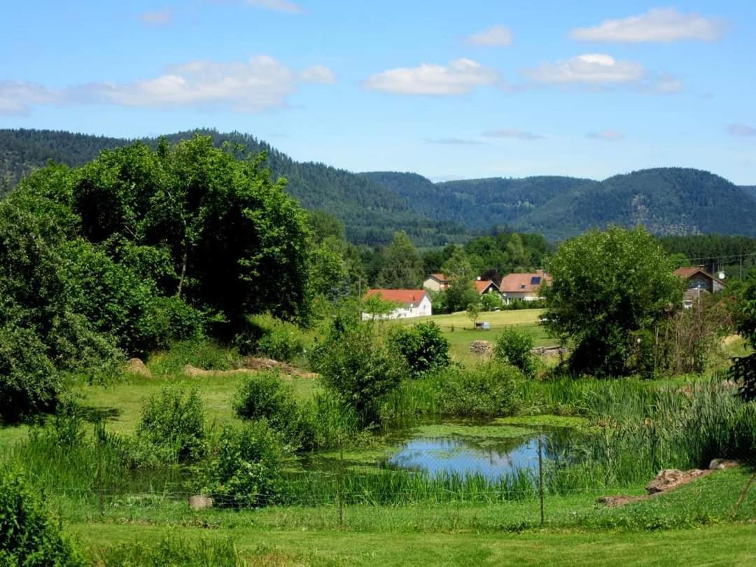 Gites Le Verger Taintrux Dış mekan fotoğraf